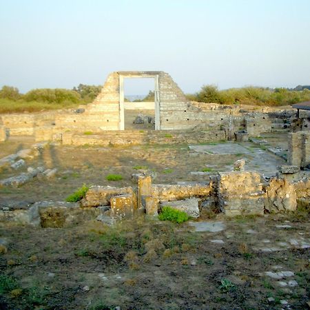 Dionisos Hotel Mytikas  Exterior photo