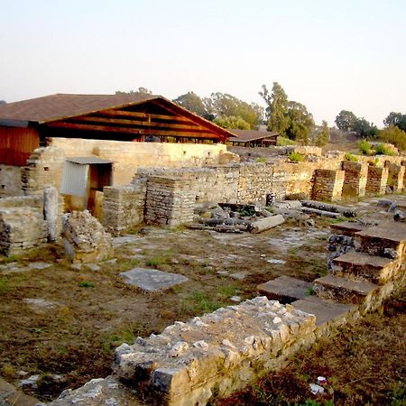 Dionisos Hotel Mytikas  Exterior photo